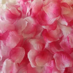 500 Pcs Pink Rose Petals for Home Decorations and Crafts Pink, White Rose Artificial Flower-24