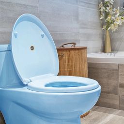 Plastic Toilet Seat Cover-image-83