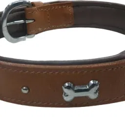 dog belts collar premium leather ten color size medium & large Dog Everyday Collar-26