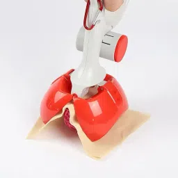 Cats, Dogs Litter Scoop-picture-17