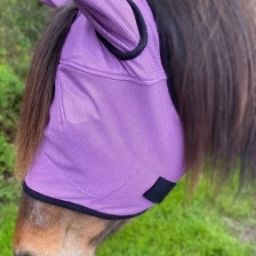 Horse Fly MasK-image-28