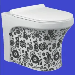 Designer European Water Closet Western Toilet Floor Mounted Commode EWC S Trap Western Commode-image-30