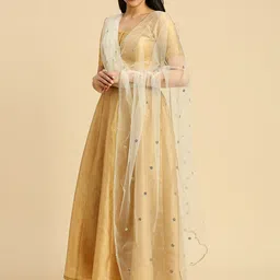 Dupatta Bazaar Polka Dots Embroidered Sequinned Net Dupatta image 3