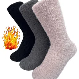 Alexvyan Women Pack Of 3 Calf Length Socks-image-69