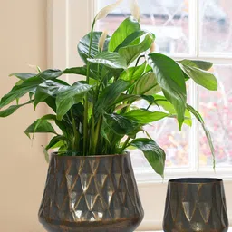 ecofynd Grey 2 Pieces Hazel Metal Planters With Stand-picture-14