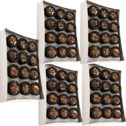 Pack of 60 Guggal Luban | with Sambrani up tray pack Guggal Dhoops Guggul Dhoop-image-42