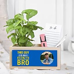 Syngonium Plant Surprise For Brother-19