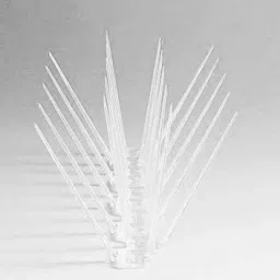 Bird Spike-picture-31
