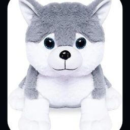 SHIVANGI-Super Soft Grey Huskey Dog_NEW1 - 35 cm-image-36