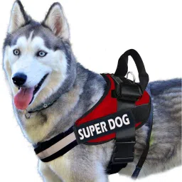 No Pull Dog Harness Adjustable Reflective Comfortable Dog Standard Harness-image-37