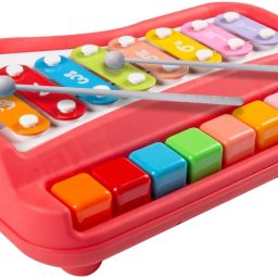 2 In 1 Xylophone And Mini Piano For Kids Educational Musical Instruments Toy-image-106