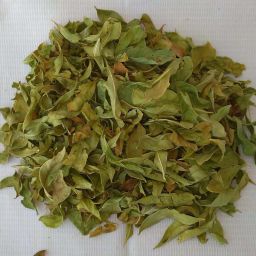 Fresh Natural Mehandi Leaves Natural Mehendi-20