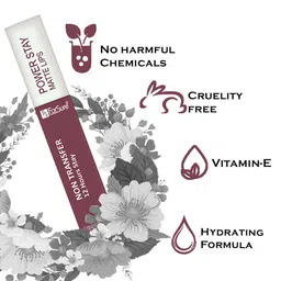 ForSure Set of 2 Power Stay Non Transfer 12Hrs Stay Liquid Lipstick 4 ml each - 09 & 23 image 3