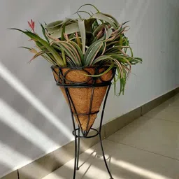 Garden Deco Black & Brown Metal Cone Basket With Stand-38