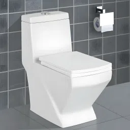 104 - PREMIUM GRADE FLOOR MOUNTED ONE PIECE ("S" 225 MM TRAP ) 104 - PREMIUM GRADE FLOOR MOUNTED ONE PIECE ("S" TRAP ) Western Commode-23