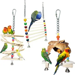 ADDY BIRD TOY | Set of 3 | Cuttlebone | Bird Treat | Foraging | Wooden Perch, Ball, Bone, Chew Toy, Stick, Training Aid For Bird-image-38