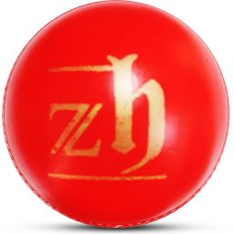 zh Red Plastic Ball Non Toxic (60 gm per ball) Netball - Size: 5 image 2