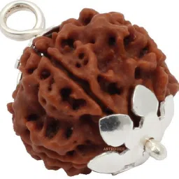 Five Face Rudraksha/ 5 Mukhi Rudraksha / 5 Face Rudraksha Silver Pendant With Lab Certificate Silver Wood Pendant-image-36