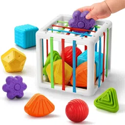 Shape Sorter Baby Toys Montessori Learning, Birthday Gifts for Toddler Boy Girl-18
