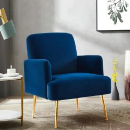 casacraft from pepperfry Esme Velvet Armchair In Blue Colour-picture-2