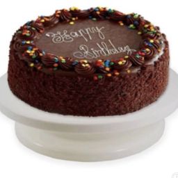 Plastic Cake Server-34