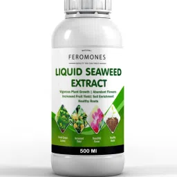Organic Seaweed Extract Potting Mixture-image-46