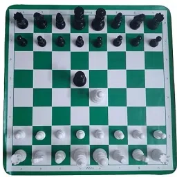 17'' x 17'' Tournament Chess Vinyl Foldable Chess Game With Solid Plastic Pieces 43 cm Chess Board-31