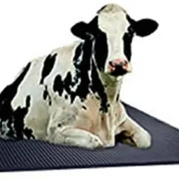 lcarno Cow Mat Animal Feeding Waterproof Rubber 24 mm Cow, Dog, Hamster, Guinea Pig, Miniature Pig Pet Mat-picture-32