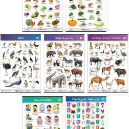 Jumbo All in One Educational Charts for Kids | Learn about English Alphabets, Fruits, Vegetables, Good Habits, Domestic, Wild Animals & Birds with Colourful Pictures for Children | 39.25 x 27.25 Inch-16