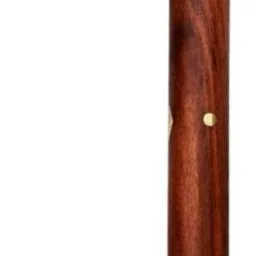 00987 Walking Stick-picture-28