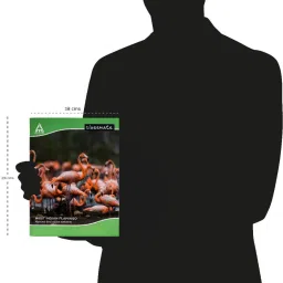 classmate Notebook Regular Notebook Single Line 172 Pages image 2