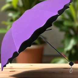 Travel Compact Magic Umbrella 3 Fold Umbrella for Girls, Women_8881 Umbrella-image-78