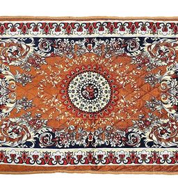 rrc Gold Velvet Area Rug-picture-11