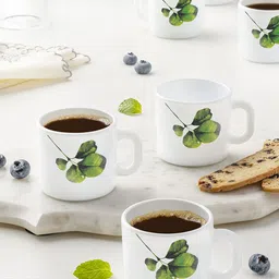 Larah by BOROSIL Oval White & Green 6 Pieces Printed Opalware Glossy Mugs 100 ml Each image 1