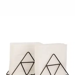 Homspurts Black 2 Pieces Metal Tissue Holder-53