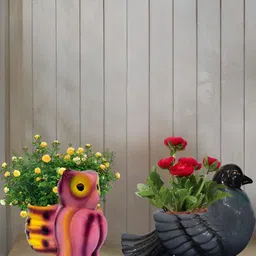 Garden Deco 2-Pcs Grey & Brown Cute Pigeon & Owl Ceramic Planter Pots-45