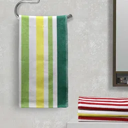 Arrabi Set Of 4 Striped 210 GSM Hand Towels-16