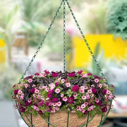 Garden Deco Brown & Green 4 Pieces Designer Coir Hanging Basket With Chain Planter-16