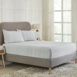 MYTRIDENT Home Essential Grey Striped 130 TC Queen Bedsheet  2 Pillow Covers-image-65