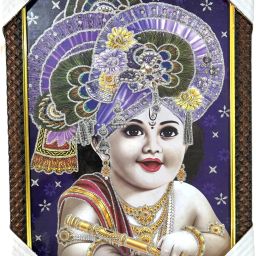 laddu gopal ji krishan ji Religious Frame-image-43