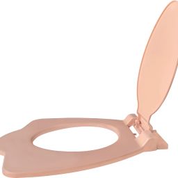 Plastic Toilet Seat Cover-image-68