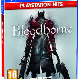 Bloodborne-picture-45