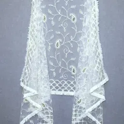 Net Embroidered White Women Dupatta-image-67