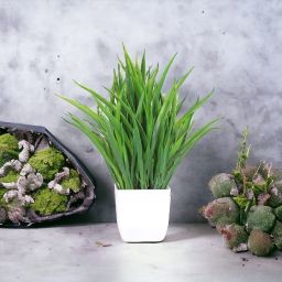 Lucky Bamboo Leaf For home office table or gift Bonsai Wild Artificial Plant with Pot-image-51