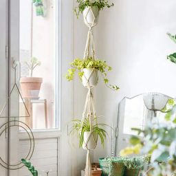 Beige Macrame Indoor and Handmade Hanging Rope Planter (Set of 2) By Homesake-picture-9