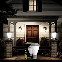 Glora 24W LED Gate Light - (Pack of 1) (L-G-0200-24W) Gate Light Outdoor Lamp-image-93