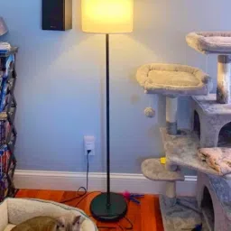 Club Floor Lamp-19
