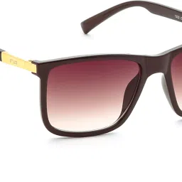 UV Protection Wayfarer Sunglasses (55)-picture-21