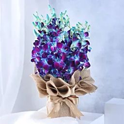 Gorgeous Blue Orchids Arrangement-10