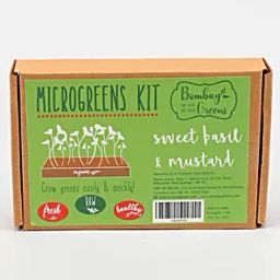 Bombay Greens Sweet Basil And Mustard DIY Microgreens Kit-image-5